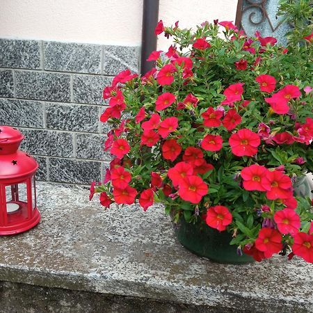 B&B L'Ortensia Vignolo Dış mekan fotoğraf
