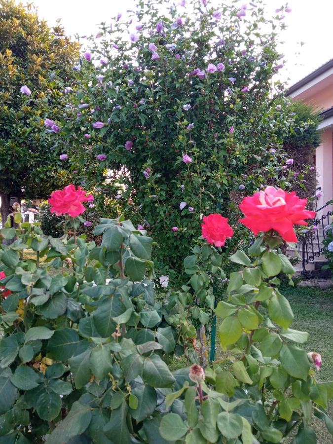 B&B L'Ortensia Vignolo Dış mekan fotoğraf