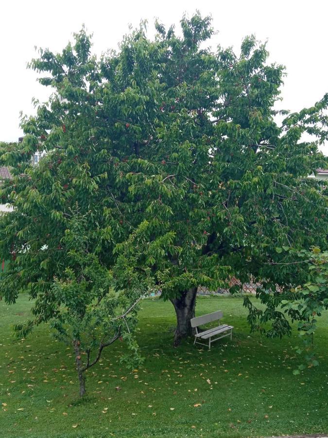 B&B L'Ortensia Vignolo Dış mekan fotoğraf