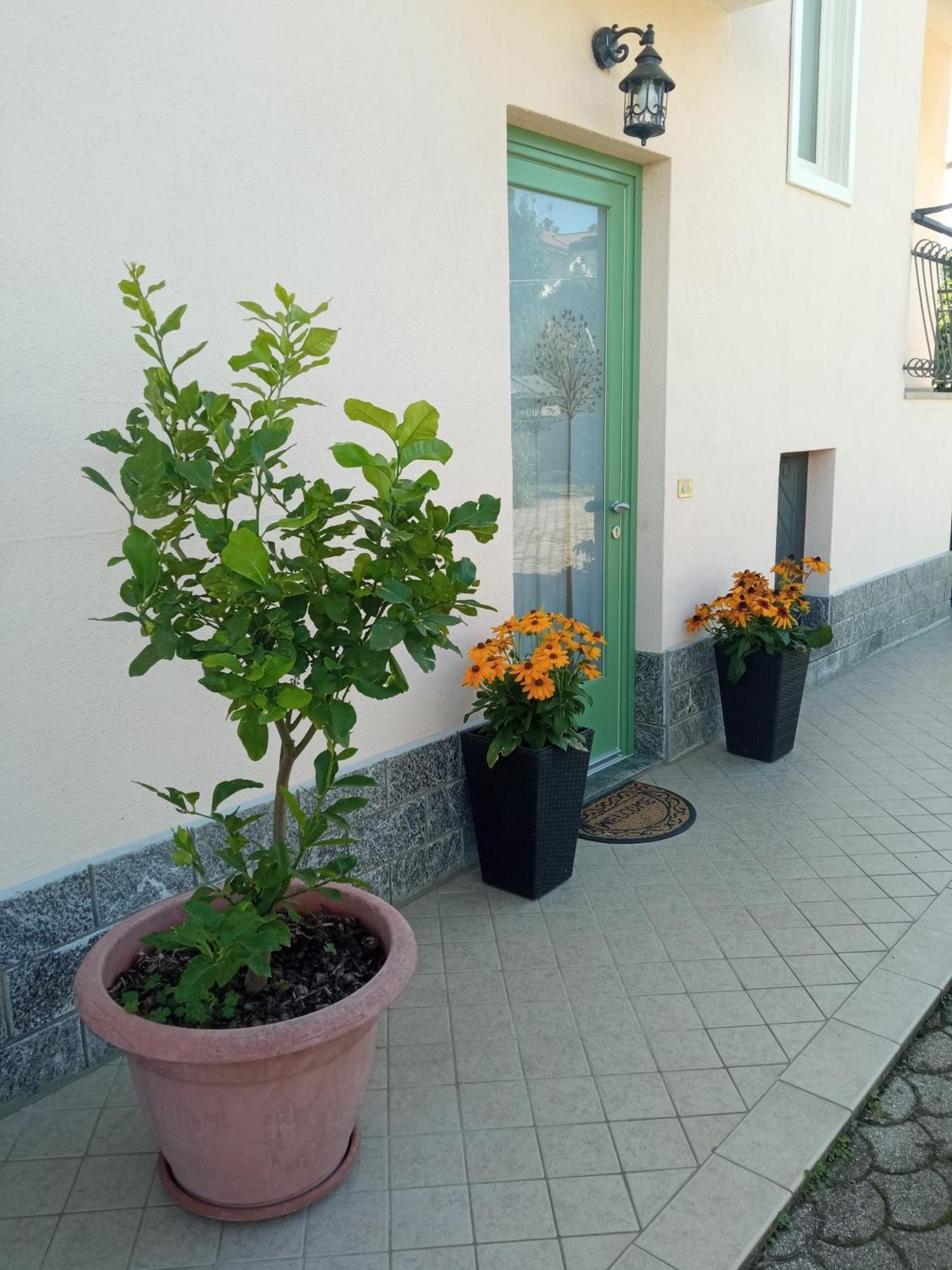 B&B L'Ortensia Vignolo Dış mekan fotoğraf
