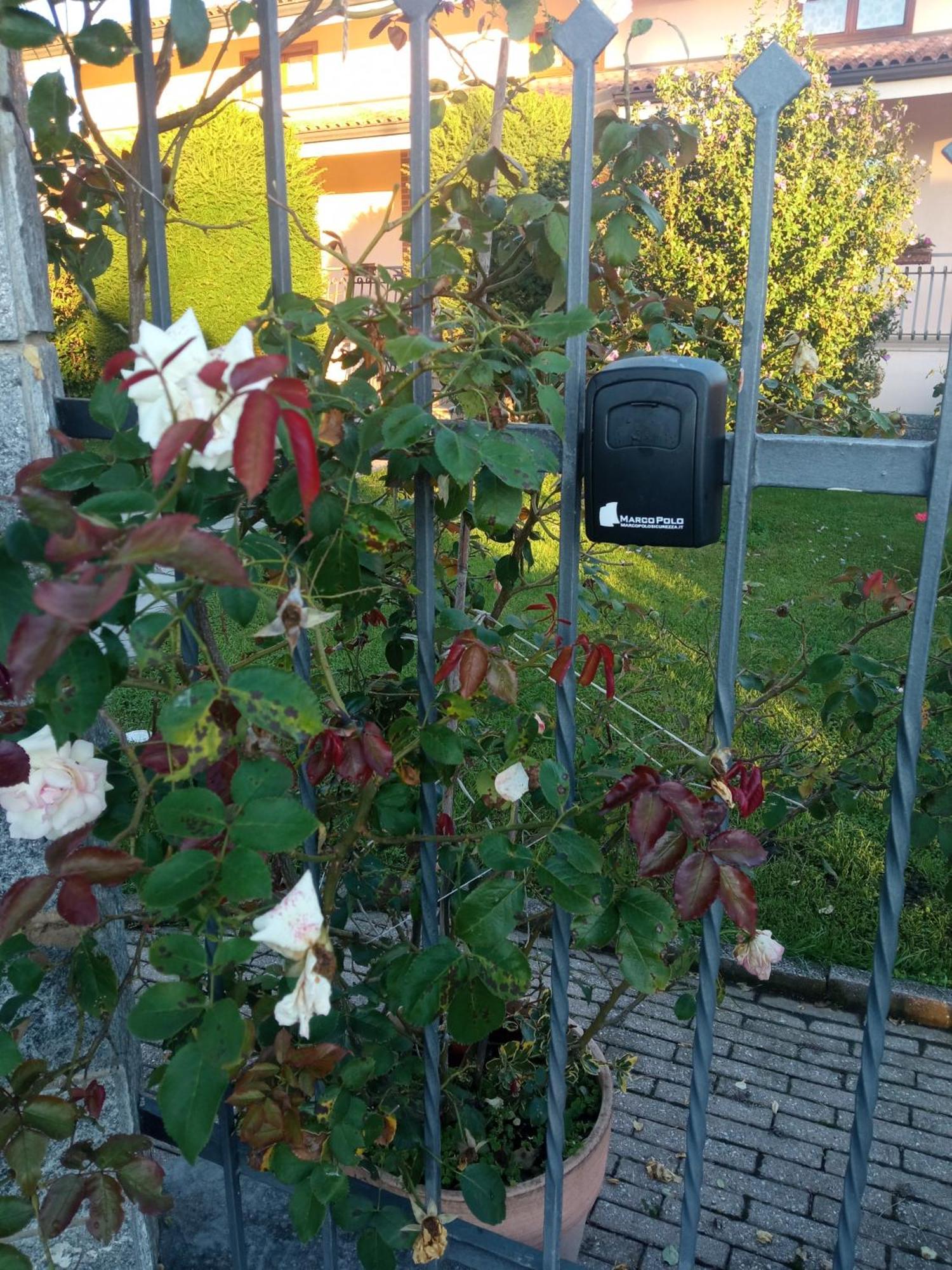 B&B L'Ortensia Vignolo Dış mekan fotoğraf