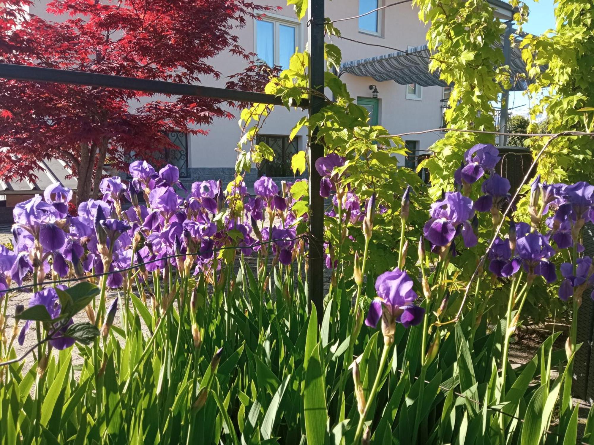 B&B L'Ortensia Vignolo Dış mekan fotoğraf