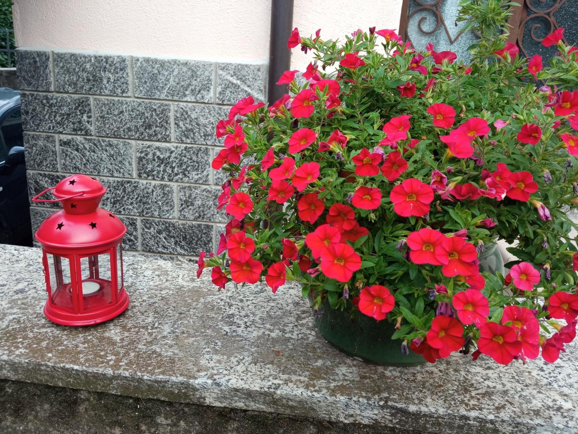 B&B L'Ortensia Vignolo Dış mekan fotoğraf